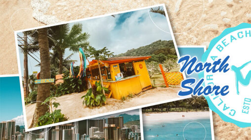 旅行会社ハワイ旅行広告動画